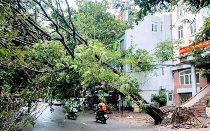 Hải Phòng thiệt hại lớn sau bão số 3: Nhiều đường ngập sâu, cây xanh gãy đổ